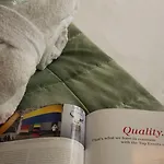 فندق أميرال لوغانو
